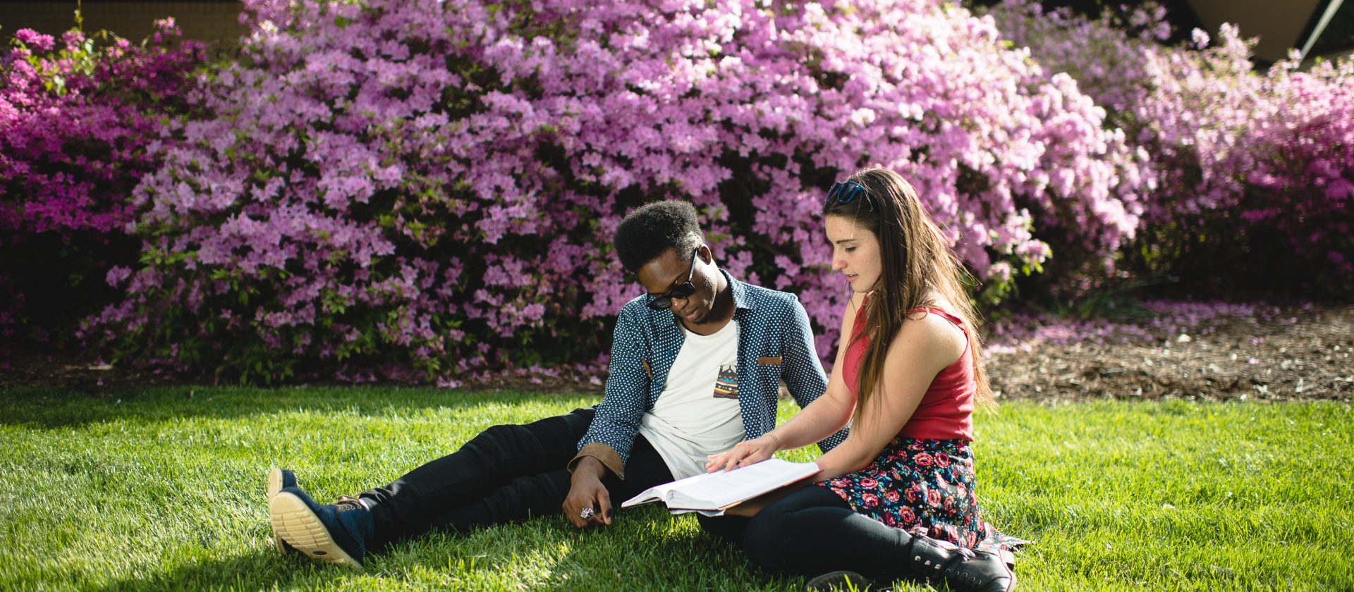 Two students sitting in the grass